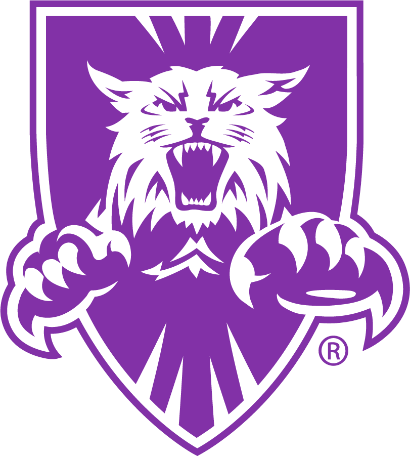 Weber State Wildcats 1996-2012 Alternate Logo v2 iron on transfers for clothing